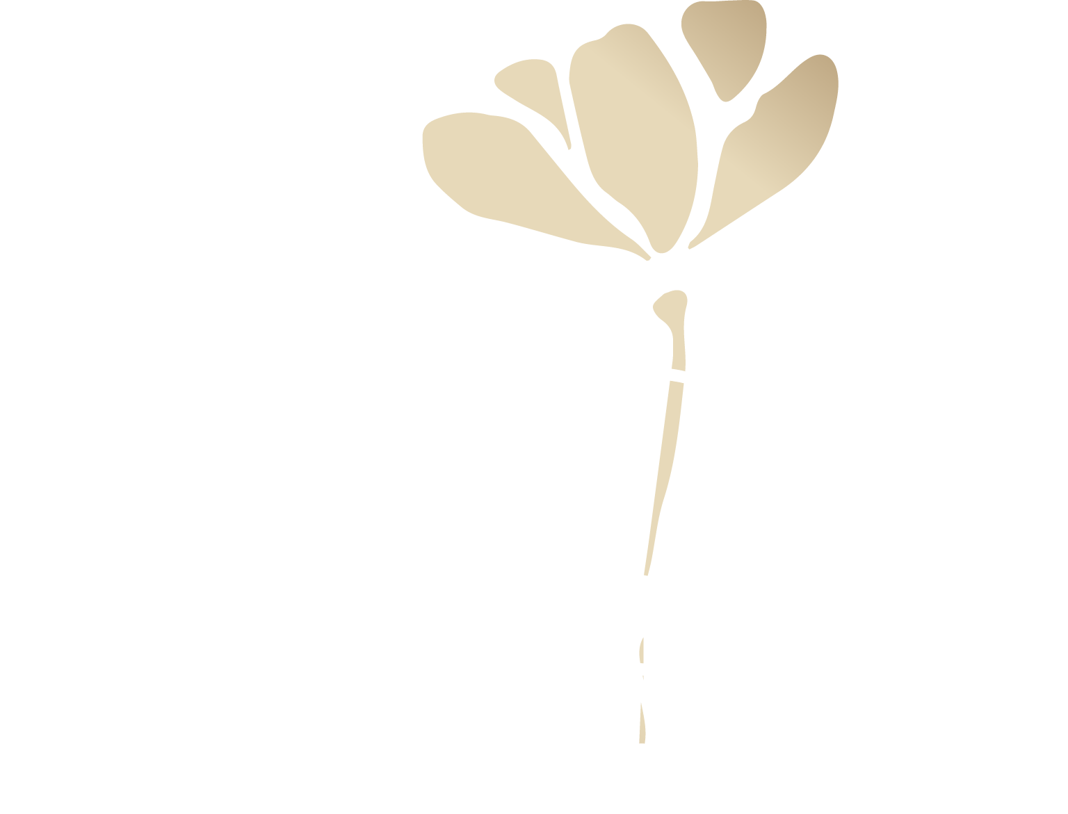Laca Beauty